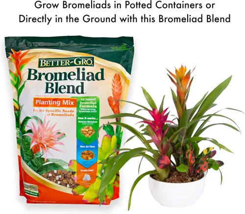 Vista 2 de Better-Gro Mezcla de bromelia 8 cuartos