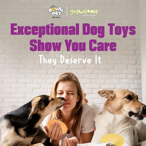 Vista 5 de Gnawsome™ 4.5” Balón de fútbol chillón puntiagudo para perros - Grande, limpia los dientes y promueve la buena salud dental y de las encías para tu
