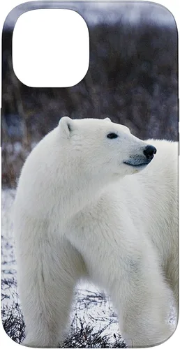 Vista 4 de Polar Bears Animal Nature Case for iPhone 17