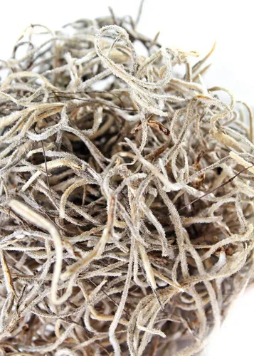 Vista 5 de SuperMoss (26926) Musgo Español Seco, Natural, 1.36 Kilogramos