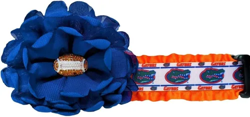Vista 2 de Collar de perro Florida Gators