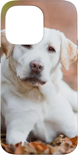 Vista 21 de Labrador Retriever Dog Lover - Carcasa para iPhone 17