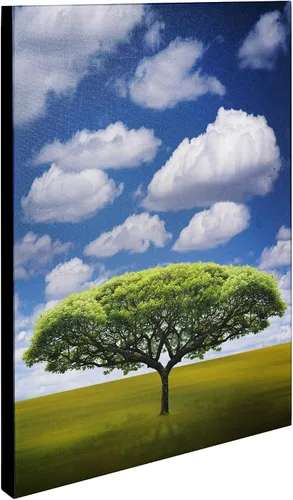Vista 2 de Trademark Fine Art Arte de pared en lienzo Improbable Open Space de Philippe Sainte-Laudy, 14 x 19 pulgadas