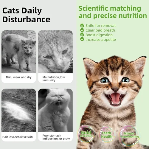Vista 6 de Palitos de dentición de hierba natural para gatos, palillo masticable para eliminar bolas de pelo