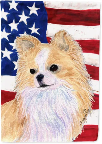 Vista 123 de Caroline's Treasures SS4038GF Bandera estadounidense con bandera de Estados Unidos con bandera de jardín Affenpinscher para buzón, bandera