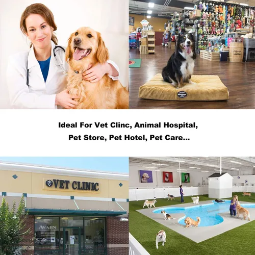 Vista 2 de 700lbs Vet Animal Scale/Livestock Scale, Digital Weighing Equipment for Small to Medium Sized Animals Calf/Goat/Sheep/Pigs/Dogs/Cat or Pets