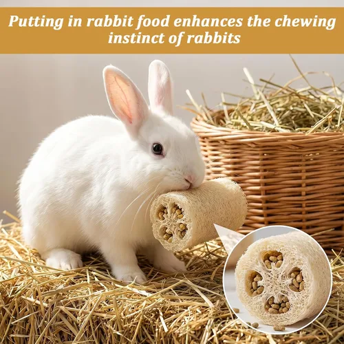 Vista 3 de 3Pcs Rabbit Chew Toys Bunny Toys Rabbit Feeder Natural Loofah Toy