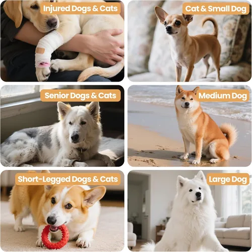 Vista 6 de Rampa para perros 3 en 1 con almacenamiento – Escaleras para mascotas para perros y gatos, suave para las articulaciones de mascotas mayores