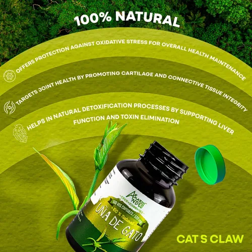 Vista 3 de Uña de Gato (Uncaria Tormentosa) Cápsulas l 1000 mg por porción de superalimento l Articulaciones, Partidario de sistemas inmunes y cardiovasculares