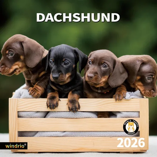 Vista 12 de Calendario de pared 2026, calendario 2026, noviembre de 2025 a diciembre de 2026, calendario de pared Beagles, 12 x 24 pulgadas abierto, página