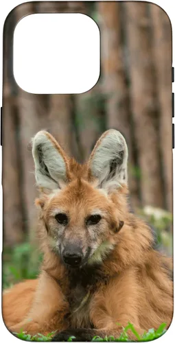 Vista 20 de Funda para iPhone 13 Pro Max Maned Wolf