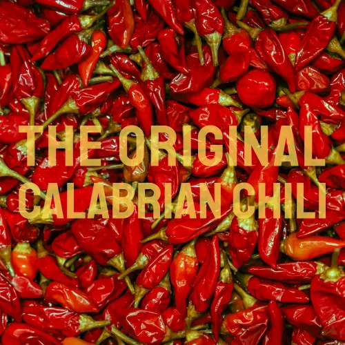 Vista 3 de TUTTOCALABRIA TuttoCalabria, Pimiento picante entero de Calabria, 285g (10.2oz), Calor intenso y equilibrado, Envasado en aceite de oliva extra