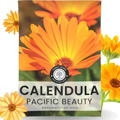 Vista 8 de Calendula Pacific Beauty - Paquete grande de 1 onza - 3,000 semillas de flores para plantar - Calendula officinalis