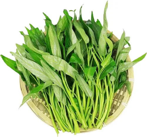 Vista 6 de Más de 1200 semillas de vegetales Kong Xin CAI de agua, espinacas Kangkong, deliciosas semillas de vegetales para plantación de hojas verdes