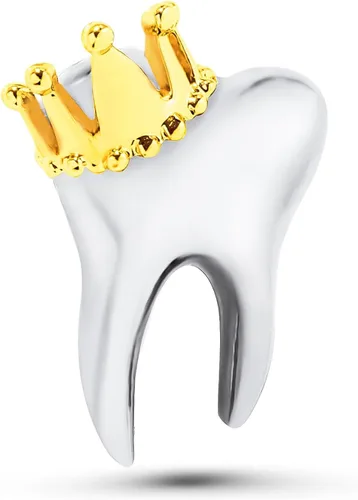 Vista 2 de Hanreshe 2 pines de dentista de dientes, cuidado de dientes, placa de solapa, lindo regalo dental de cristal para médico enfermera