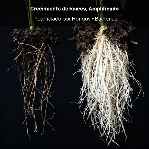 Vista 4 de Real Growers recarga - Superpack de microbios del suelo, estimulante natural para el crecimiento de plantas (2 oz) (RGR-2)