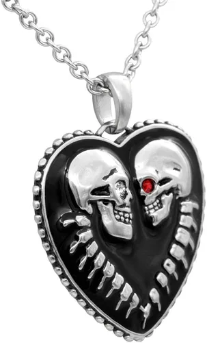 Vista 2 de Controse Bound For Eternity - Collar de corazón con dije (cadena de acero inoxidable 316L de 27 pulgadas)
