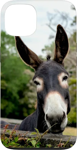 Vista 7 de Funda Donkey para iPhone 17