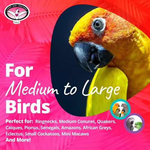Vista 3 de Super Bird Creations - Percha plegable para ventana de ducha SB126 - Ringnecks Medium Conures Loros - Soporte multifuncional para pájaros
