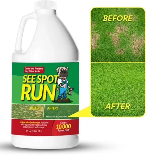 Vista 8 de Producto neutro See Spot Run