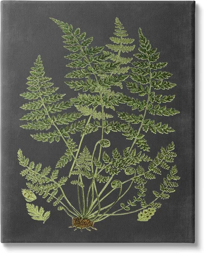 Vista 14 de Lienzo decorativo para pared con diseño de diente de león esponjoso, 16 x Flores de diente de león rústico