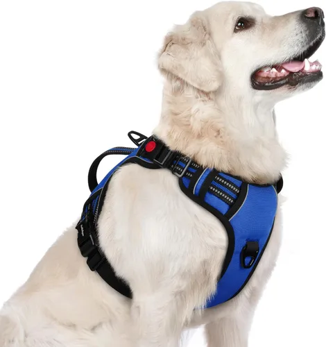 Vista 12 de rabbitgoo Arnés para perro de tamaño pequeño, arnés para mascotas sin tirones con mango acolchado suave, chaleco reflectante ajustable con 3