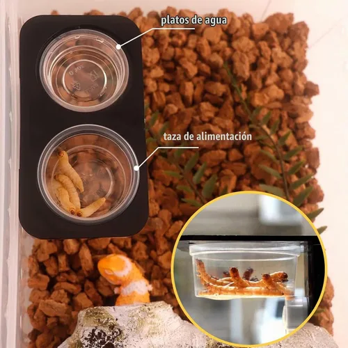Vista 4 de Vasos de alimentación de agua y alimentos con cresta de Gecko de 0.5 onzas, cuencos de alimentación de reptiles, plato de comida de repuesto
