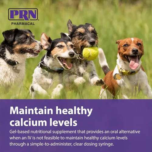 Vista 5 de PRN Pharmacal Calsorb - Suplemento nutricional de calcio para ayudar a mantener niveles saludables de calcio en perros - Suplemento nutricional