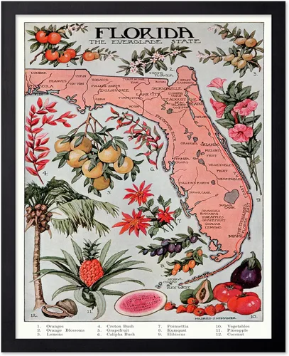 Vista 51 de Monem Art Mapa Monumental Vintage de Florencia Impresión - Póster de Viaje Retro - Arte de Italia - Gran Regalo para Hombres, Mujeres, Amantes