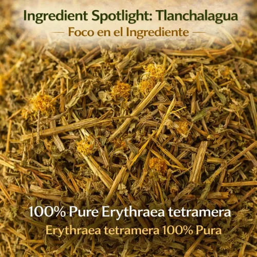 Vista 3 de Té de hierbas Tlanchalagua – 4 oz (113 g) – Hierba tradicional mexicana – Infusión de hojas sueltas silvestre – 100% natural, vegano, sin OMG – por