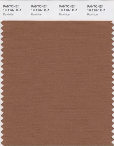 Vista 10 de PANTONE Tarjeta de muestra de color inteligente 18-1314X, bellota