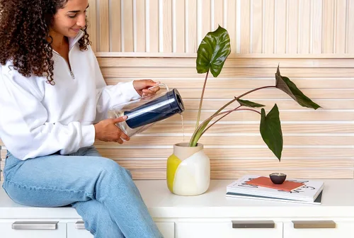 Vista 6 de LifeStraw Home – Jarra de filtro de agua, 7 tazas, Azul medianoche, sin BPA Diseñada para protección diaria contra bacterias, parásitos