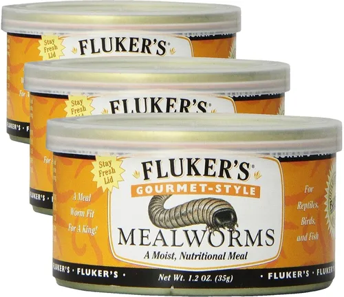 Vista 20 de Fluker's Alimento enlatado gourmet para reptiles, peces, pájaros y animales pequeños, cucarachas pequeñas Dubia, 1.2 oz