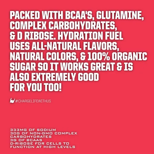 Vista 5 de Ryno Power Hydration Fuel - Mezcla de bebida con electrolitos de 2 libras (20 porciones) 'Fruit Punch' - Fórmula avanzada de electrolitos + BCAA