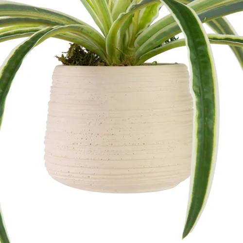 Vista 4 de Northlight Planta de araña artificial en maceta de cerámica beige - 20