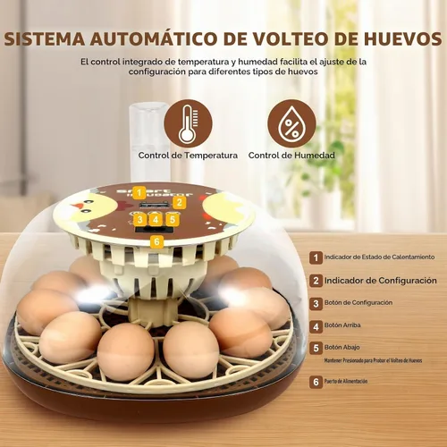 Vista 2 de Nest I - Incubadora de 12 huevos para principiantes, giro automático de huevos, humedad constante con botella de agua de recarga automática