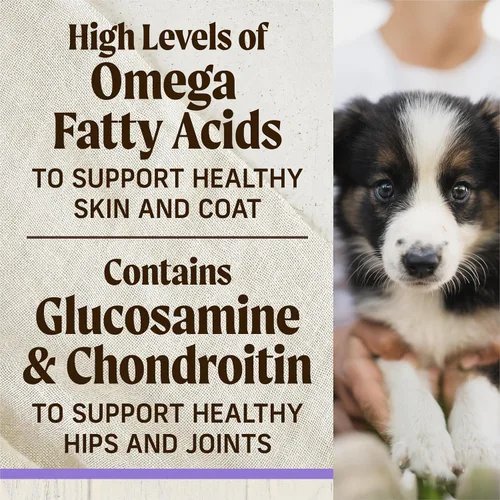 Vista 8 de Merrick Healthy Grains - Croquetas crudas liofilizadas, alimento natural para cachorros con alto contenido de proteínas, pollo y arroz integral