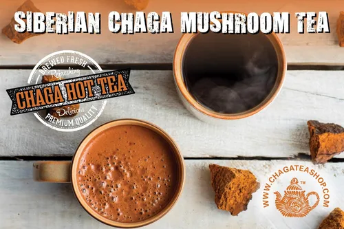 Vista 4 de Trozos enteros de hongos chaga siberianos cosechados salvajes 12 onzas (11.99 oz.)