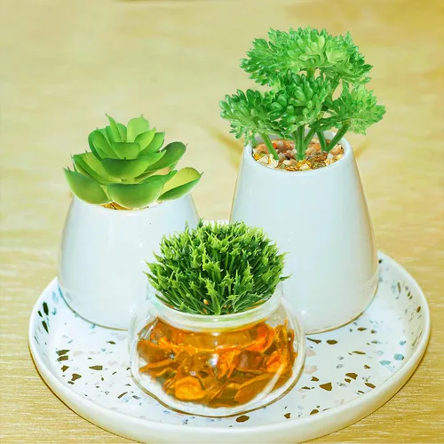 Vista 6 de QUOZUO Plantas suculentas artificiales, 14 plantas suculentas verdes, mini suculentas falsas para manualidades, hogar, jardín, oficina, fiesta