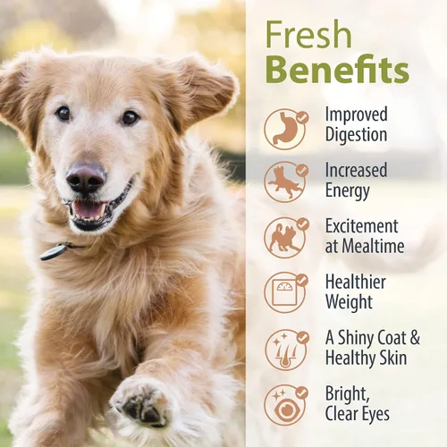 Vista 6 de JustFoodForDogs Mezcla de nutrientes DIY para comida casera para perros, carne de res y papa russet, 4.55 onzas