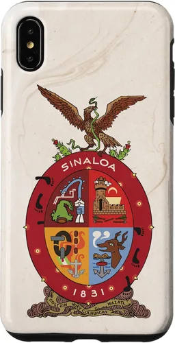Vista 11 de iPhone 16 Bandera de Sinaloa y fondo elegante - Funda Sinaloense Pride