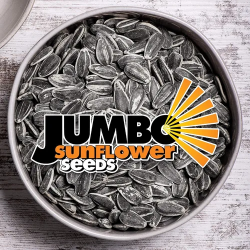 Vista 3 de JUMBO SUNFLOWER SEEDS, Ranch, 16 onzas (paquete de 6)