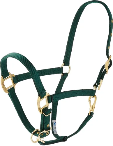 Vista 2 de Hamilton Caballo árabe de nailon de 3/4 pulgadas con barbilla ajustable y broche de garganta, promedio, 800 a 1100 libras, negro