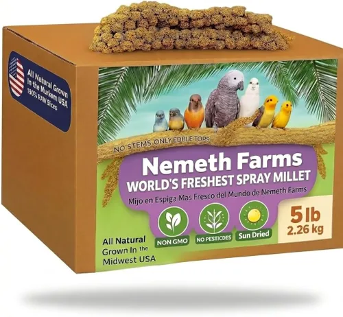 Vista 11 de Nemeth Farms Spray Millet - Tapas comestibles solamente, sin OMG y secado al sol, 1 libra para periquitos, canarios y pinzones