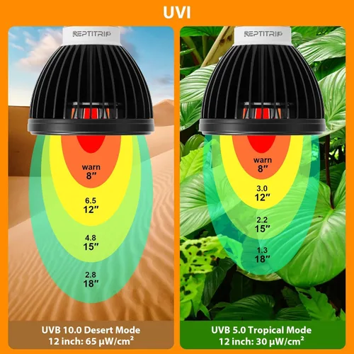 Vista 4 de REPTITRIP Luz UVB para reptiles, bombilla UVB 5W 5.0 UVB lámpara LED, bombilla de reptil, proporciona suficiente exposición UVB para especias