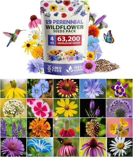 Vista 10 de HOME GROWN - 49 000 semillas de flores silvestres, mezcla a granel, 2 onzas, 21 variedades de mezcla de flores silvestres, para atraer abejas