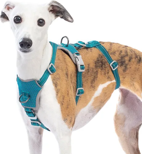 Vista 9 de Huntboo Arnés para perro a prueba de escapes, sin tirones, antideslizante, totalmente reflectante, diseño ajustable de 7 puntos para perros