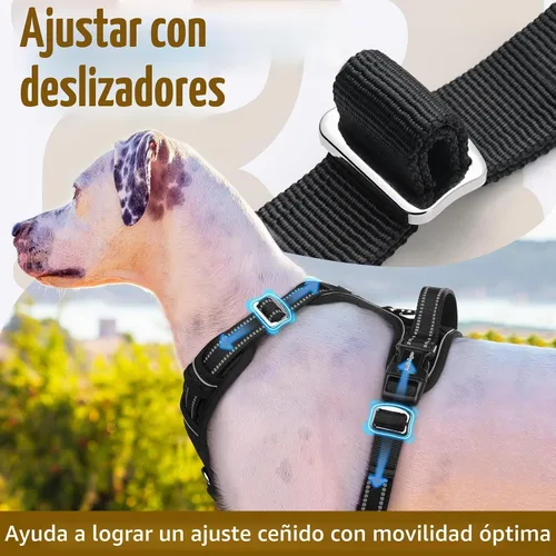 Vista 5 de Rabbitgoo - Arnés para perro de tamaño pequeño, sin tirones, 3 hebillas, fácil de poner y quitar Negro