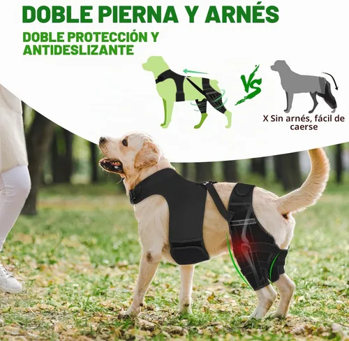 Vista 3 de Rodilleras para perro para soporte de pierna trasera, soporte ACL/CCL