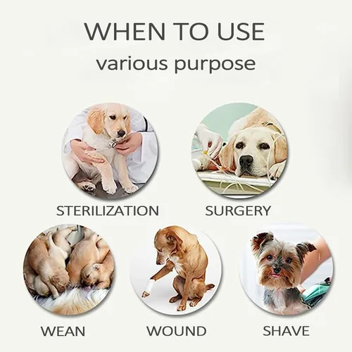 Vista 3 de Pañal de cuerpo completo para perro con pañales para cachorros, traje de recuperación fisiológica para perros y gatos después de la cirugía, suave